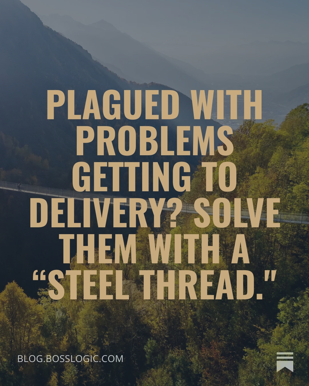 Plagued with problems getting to delivery?
